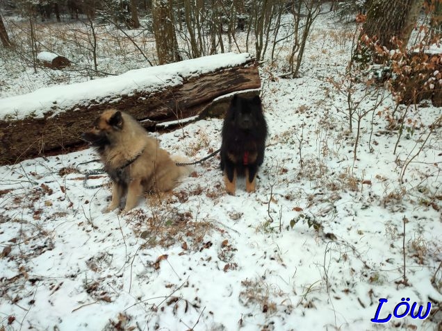 12.2.2025 - Tiefschnee?